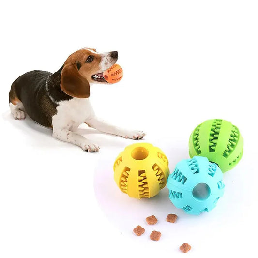 Interactive treat ball dog toy with beagle playing