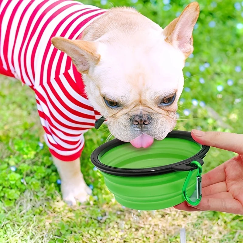 Dog drinking from collapsible travel bowl outdoors