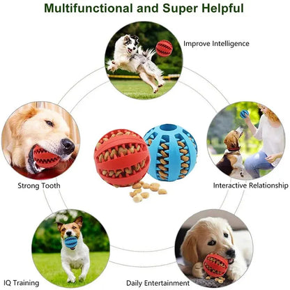 Interactive treat ball benefits for dog training and play
